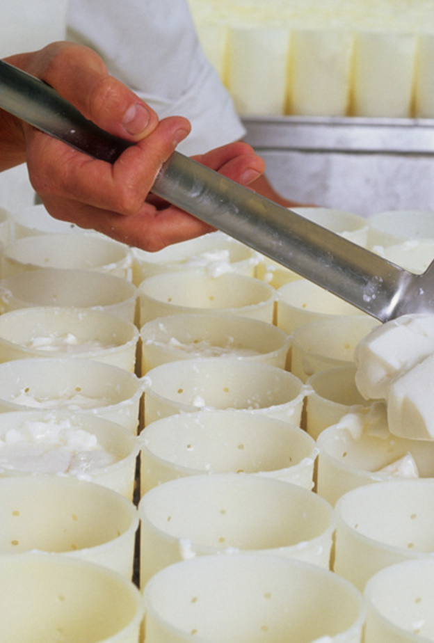 الجبن المطبوخ