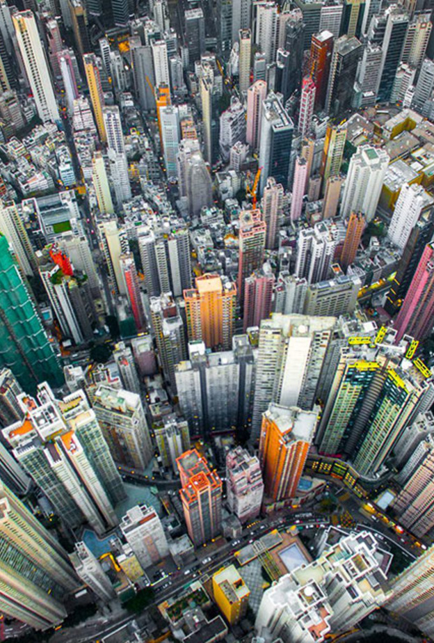 Urban Jungle, Hong Kong