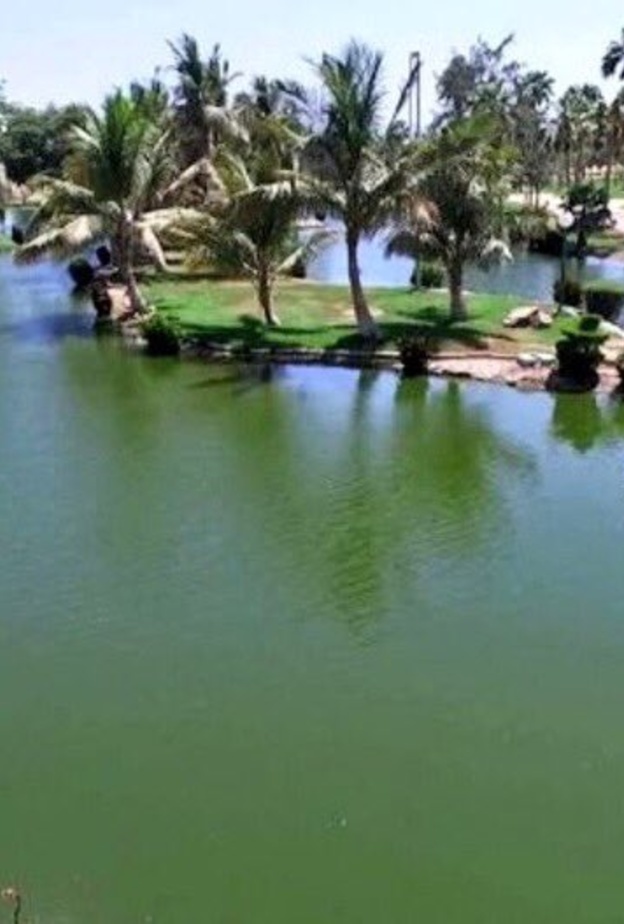 حديقة الفيروز.. سحر التنزه وسط الطبيعة الساحرة والأجواء الخلابة في ينبع - المصدر تويتر 