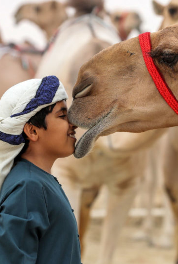 مهرجان الظفرة في إمارة أبوظبي .. إعتزاز بالثقافة وفخر بالتراث