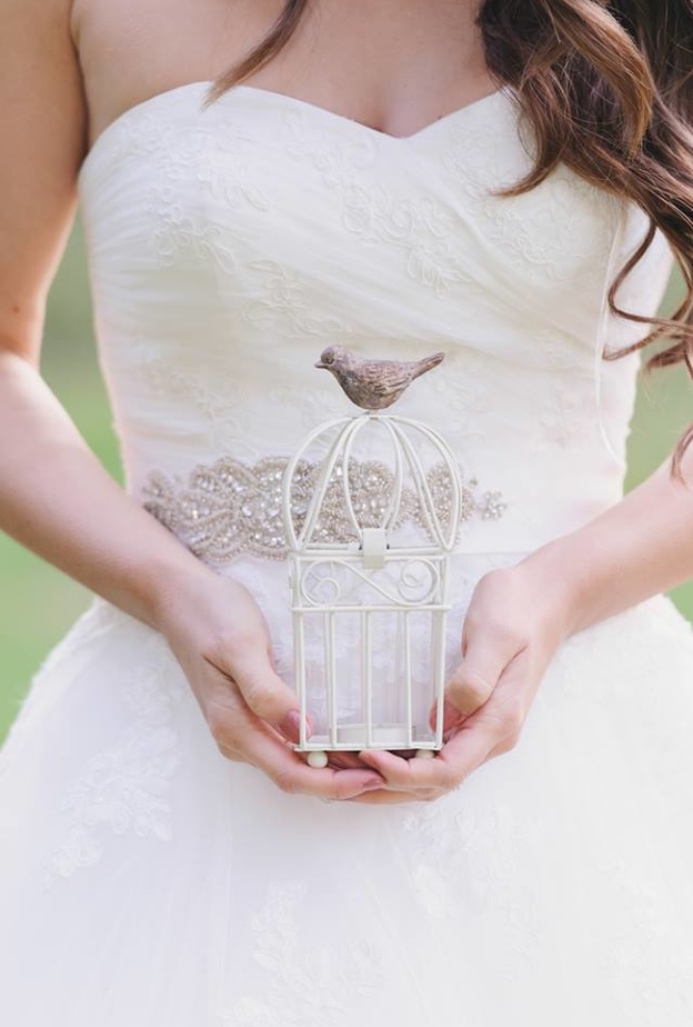 عريس في اليد خير من 10 على الشجر