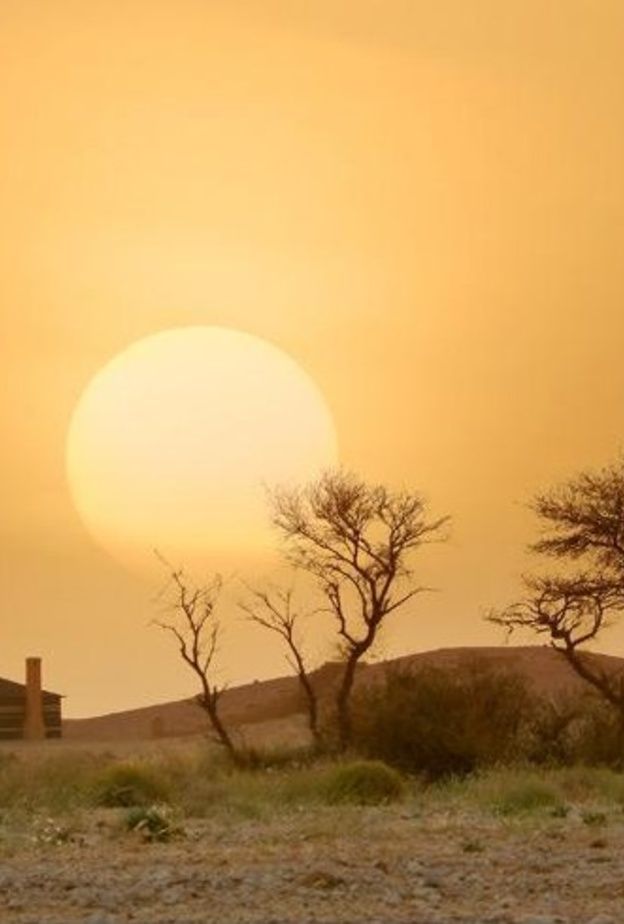 منتزه الثمامة البري