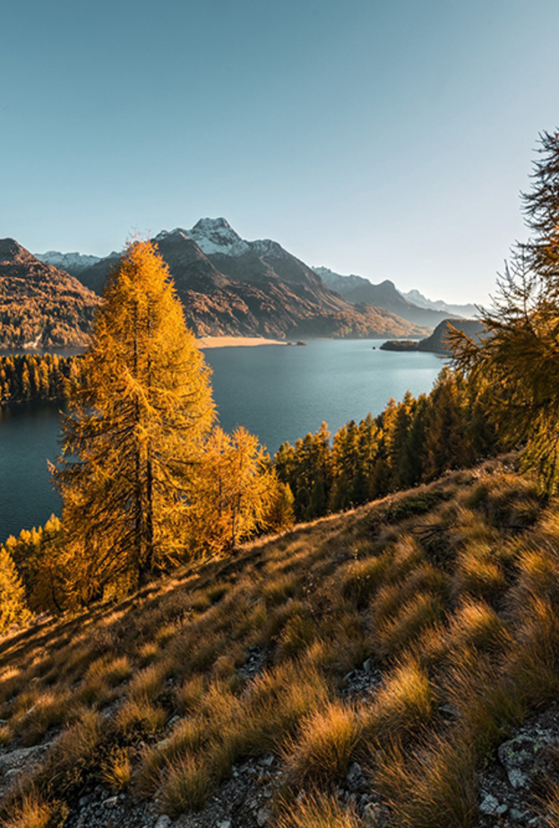 التعاطي مع المياه