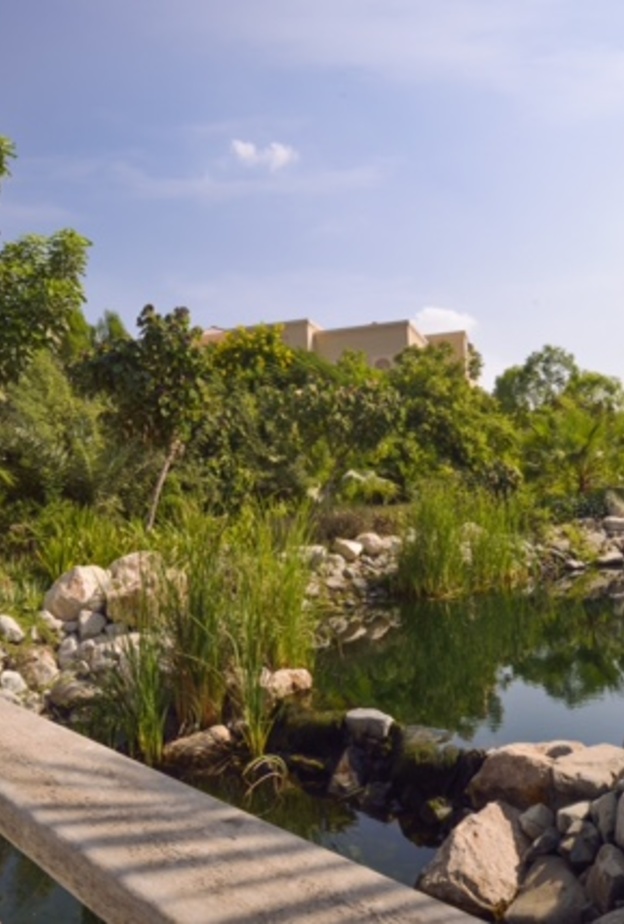 البراري تطلق أسبوع الصحة في  دبي يناير الجاري