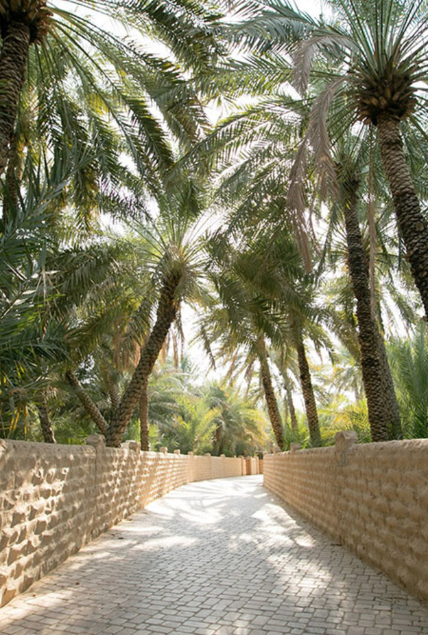 سلسلة من الفعاليات الثقافية والترفيهية في منطقة العين بإمارة أبوظبي