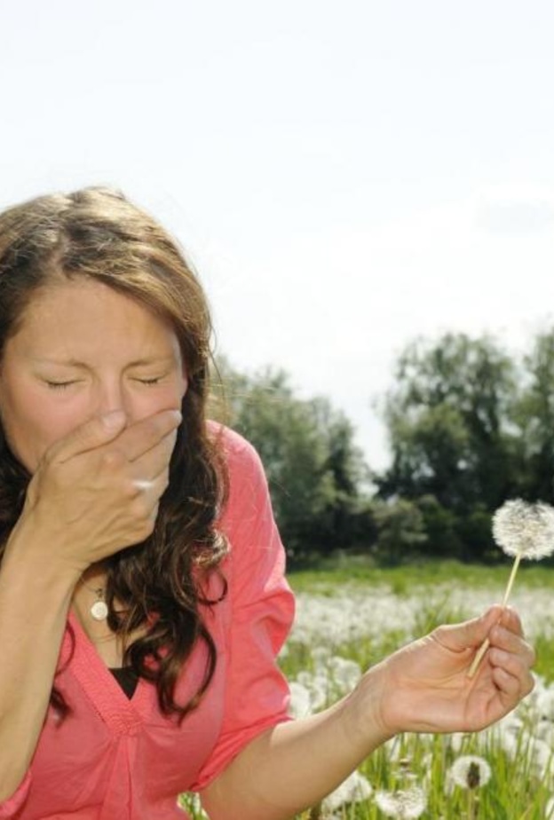 حساسية الربيع 