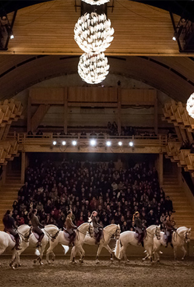 عروض مسرحية عالمية لمهارات الفروسية في قلعة الجاهلي بالعين
