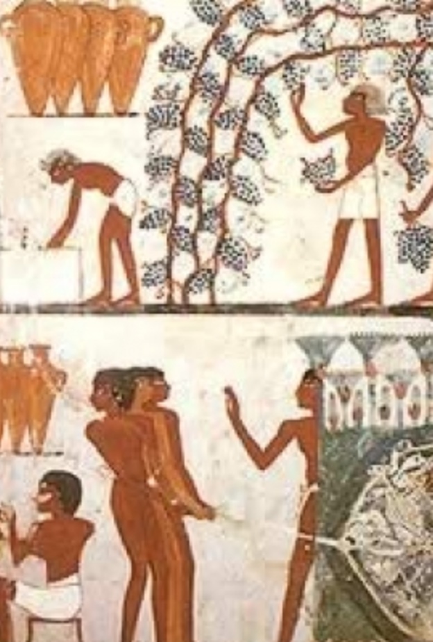 الفراعنة اول من عرفوا نظام البوفيه المفتوح