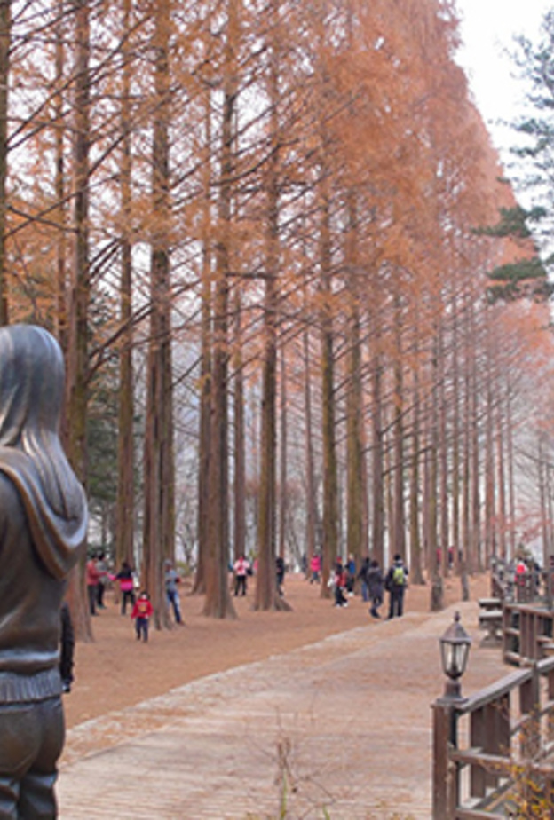 نامي .. جزيرة خلّابة تستريح في أحضان كوريا الجنوبية