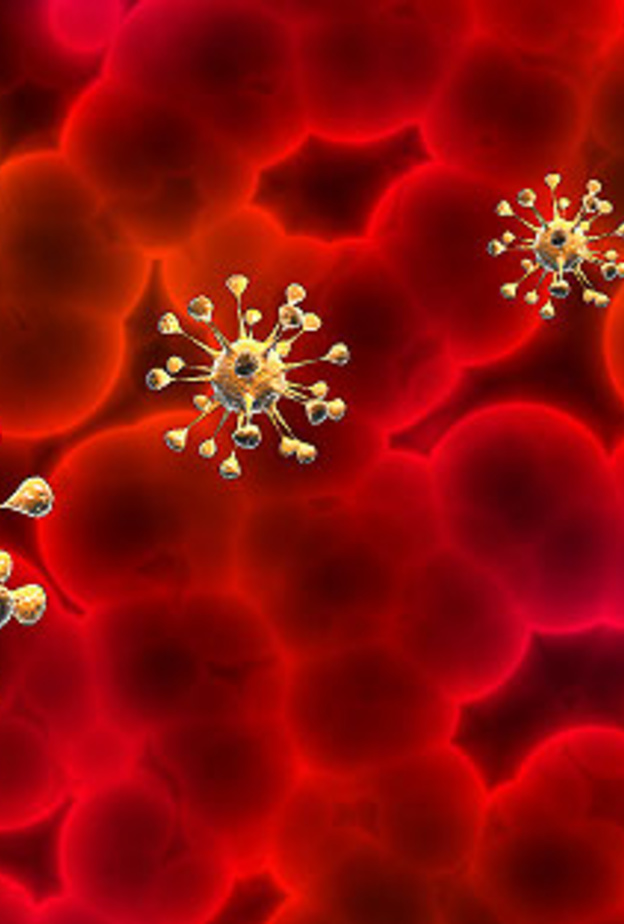 طفيل مرض اللمشانيا