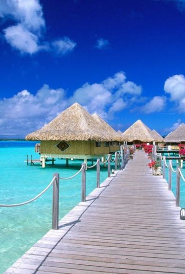 boracay اجمل شعر عسل في