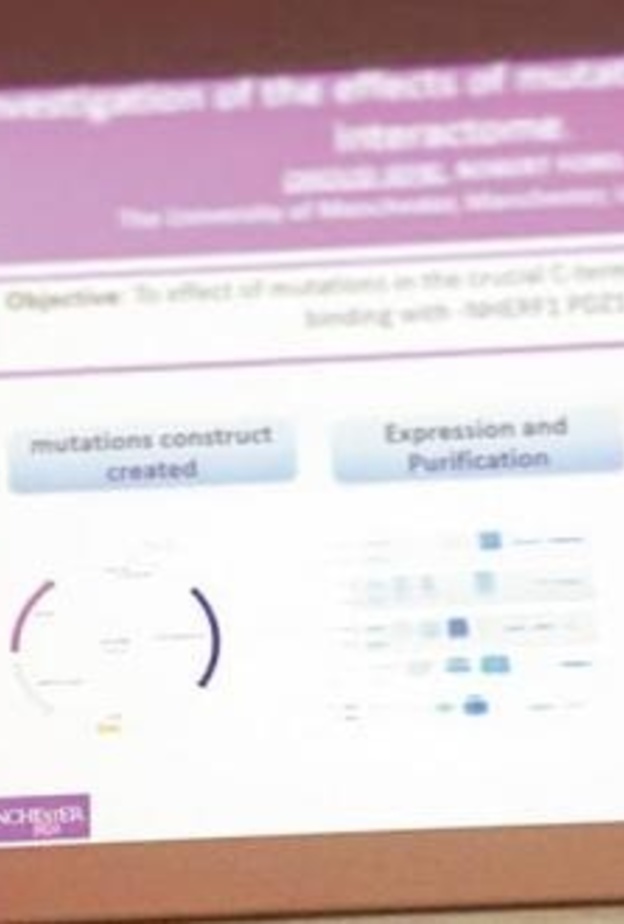 بحث المبتعثه