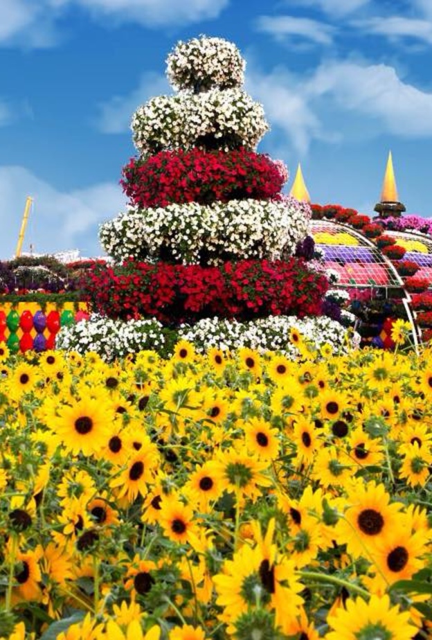 موسم جديد لدبي ميراكل جرادن .. أكبر حديقة للزهور في العالم
