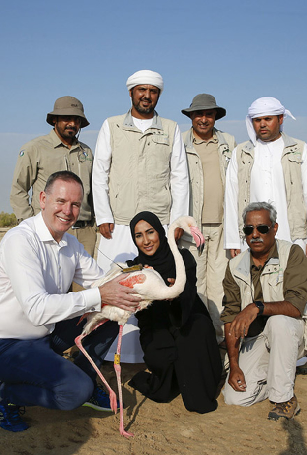 اطلاق "ماراثون أبوظبي للطيور" .. احتفاءً بعام زايد