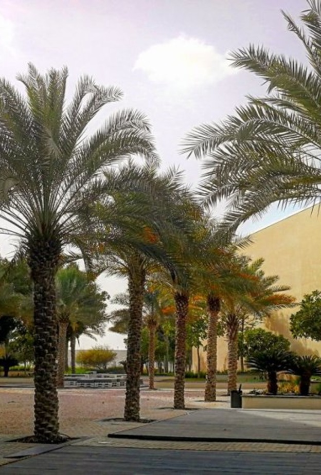 منارة السعديات أبوظبي