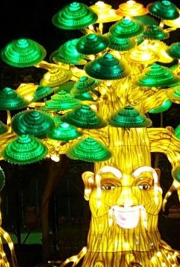 غداً افتتاح حديقة "دبي جاردن جلو"  في زعبيل