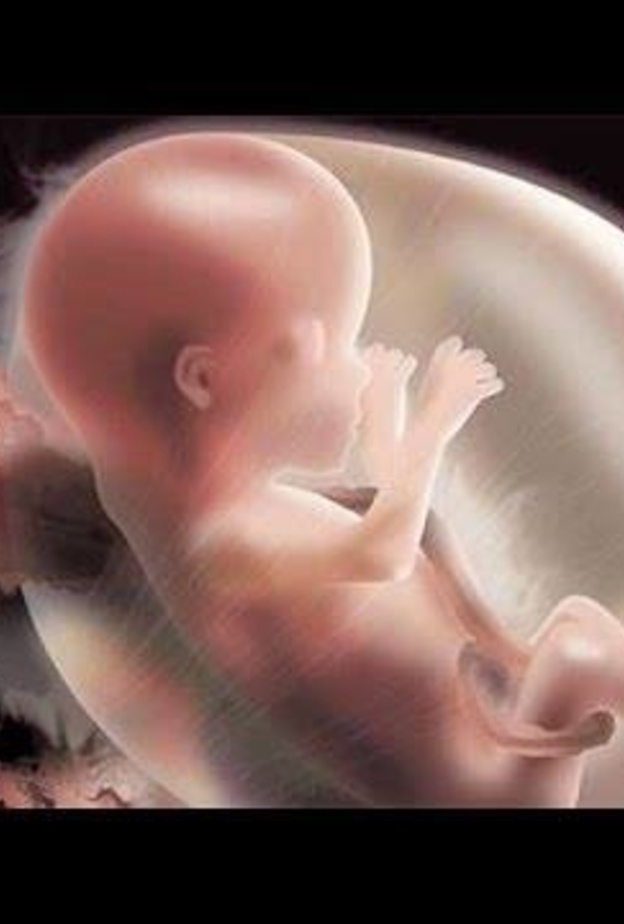 بعد مشاهدة هذا الفيديو لن تجرؤ أي إمرأة على إتخاذ قرار الإجهاض