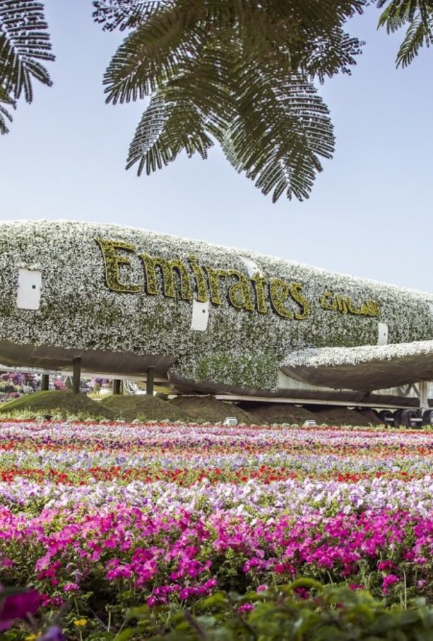 إغلاق دبي ميراكل جاردن وحديقة الفراشات مؤقتا