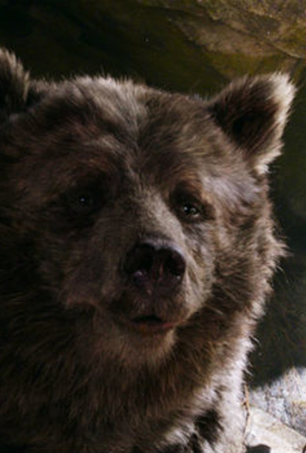 الفيلم استخدمت فيه تقنيات الجرافيك والصورة المصنوعة باستخدام الحاسوب