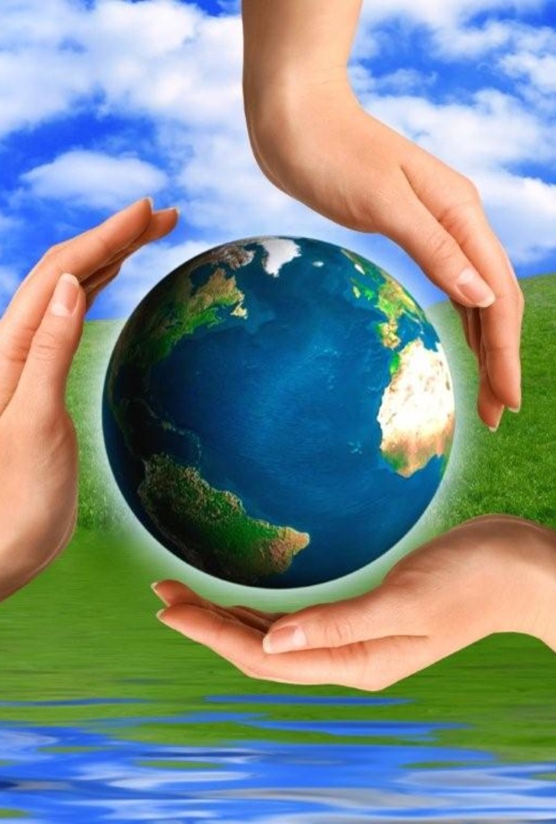 البحوث البيئية