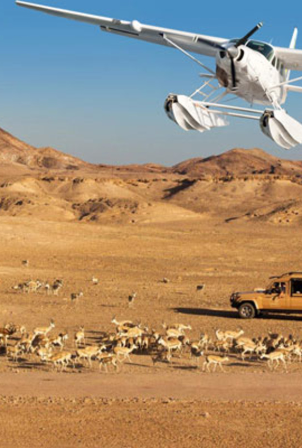 جزيرة صير بني ياس