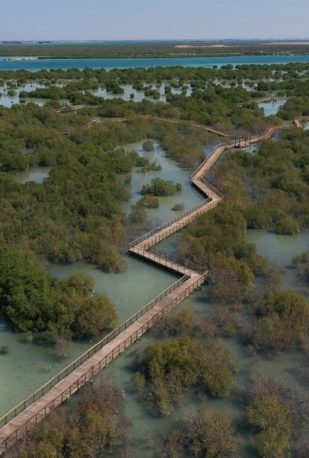 ممشى القرم في جزيرة الجبيل بأبوظبي
