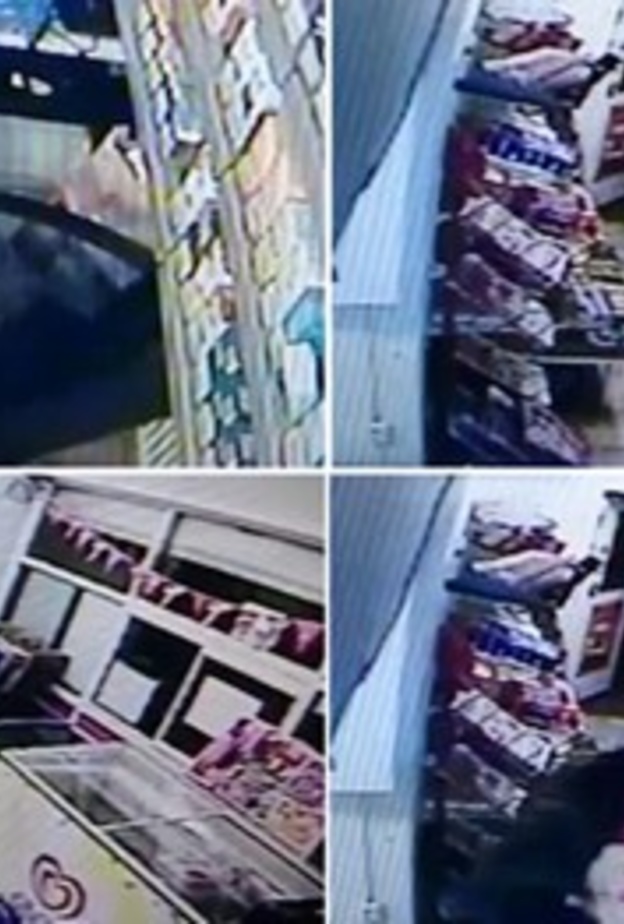 مصرية تهاجم لصا مسلحا بالسويد