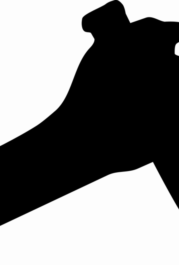 مستجدات غير متوقعة لجريمة الوالد قاتل ابنه بجازان