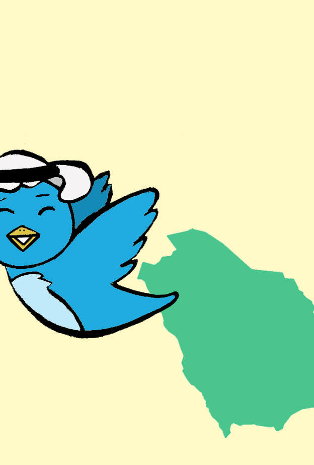 السعوديين في المركز الاول في تويتر 