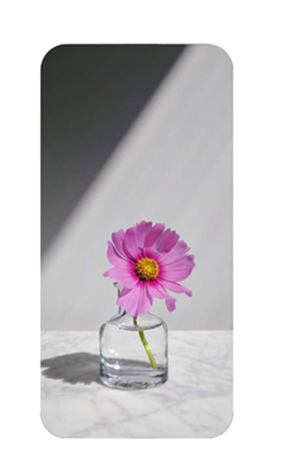 4 أكتوبر المقبل .. موعد الكشف عن هواتف جوجل الجديدة