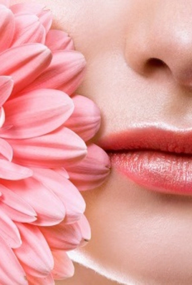 توريد الشفايف