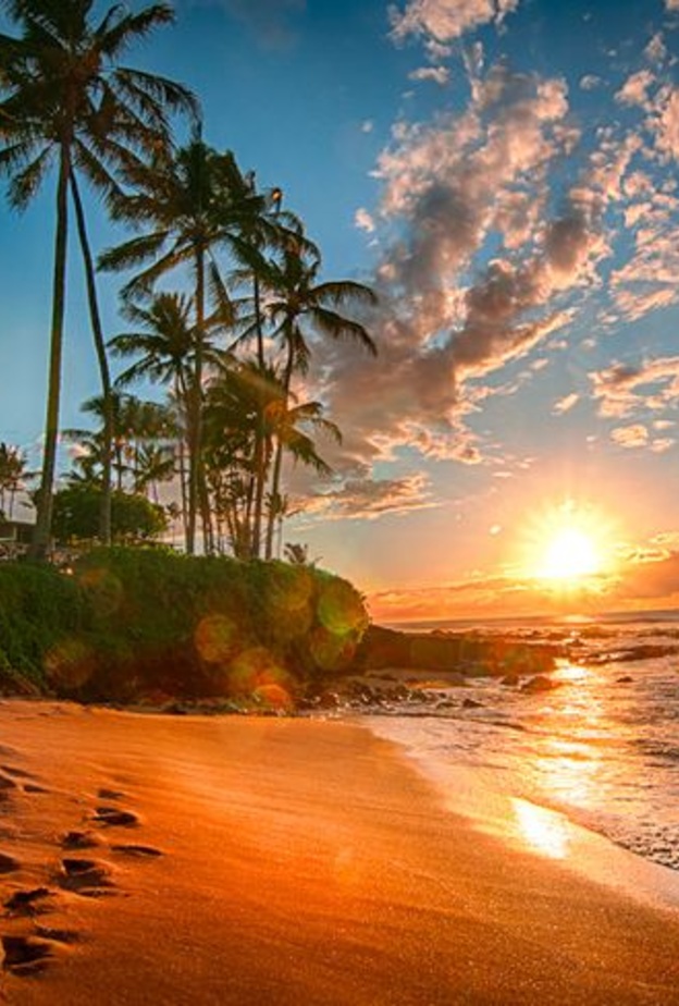 مشهد اخر من ماوي