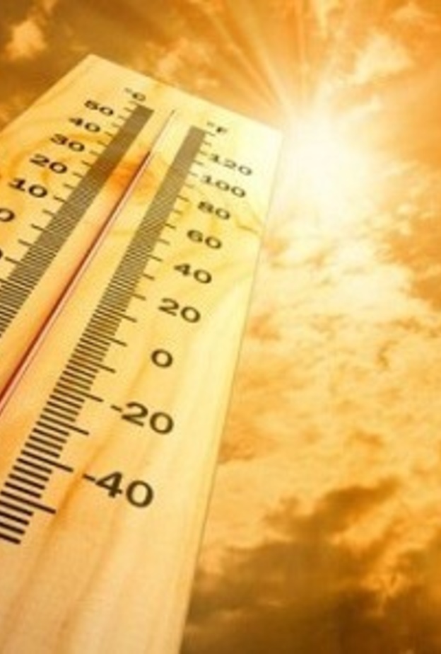 اطعمة تقاوم حرارة الطقس