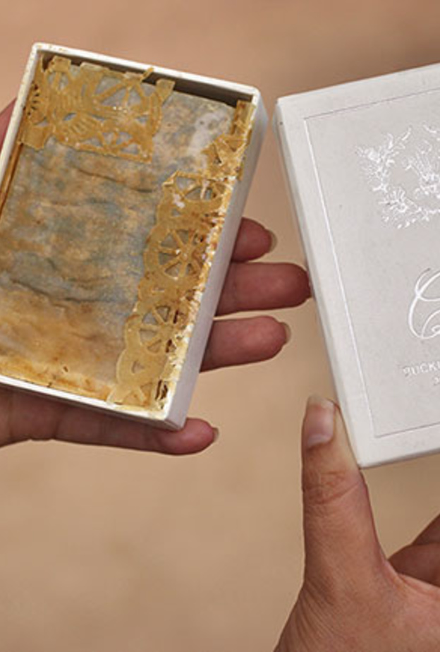 قطعة من كعكة زفاف تشارلز والأميرة ديانا