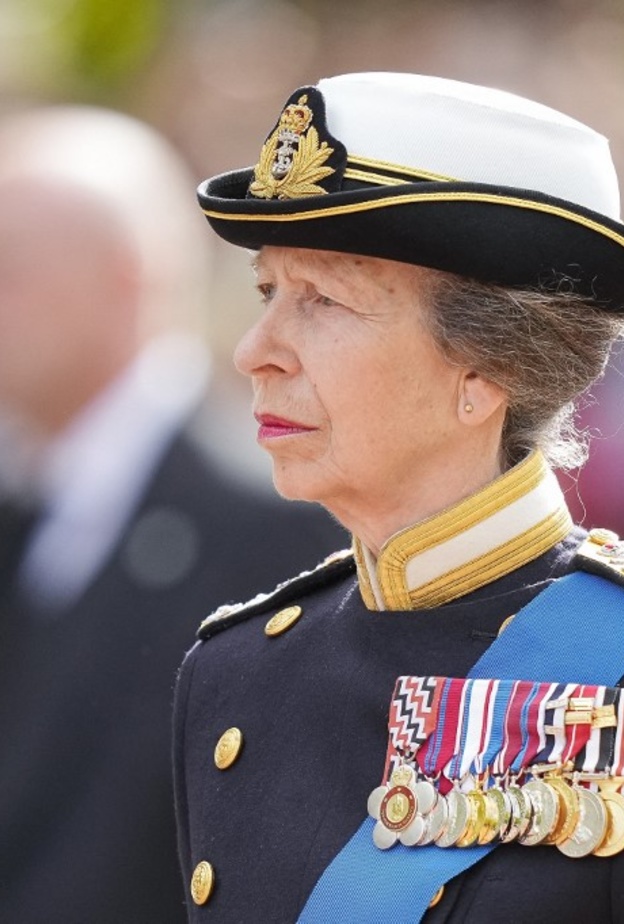 كلاب الأميرة آن "الشرسة" تٌعرضها للمساءلة القانونية