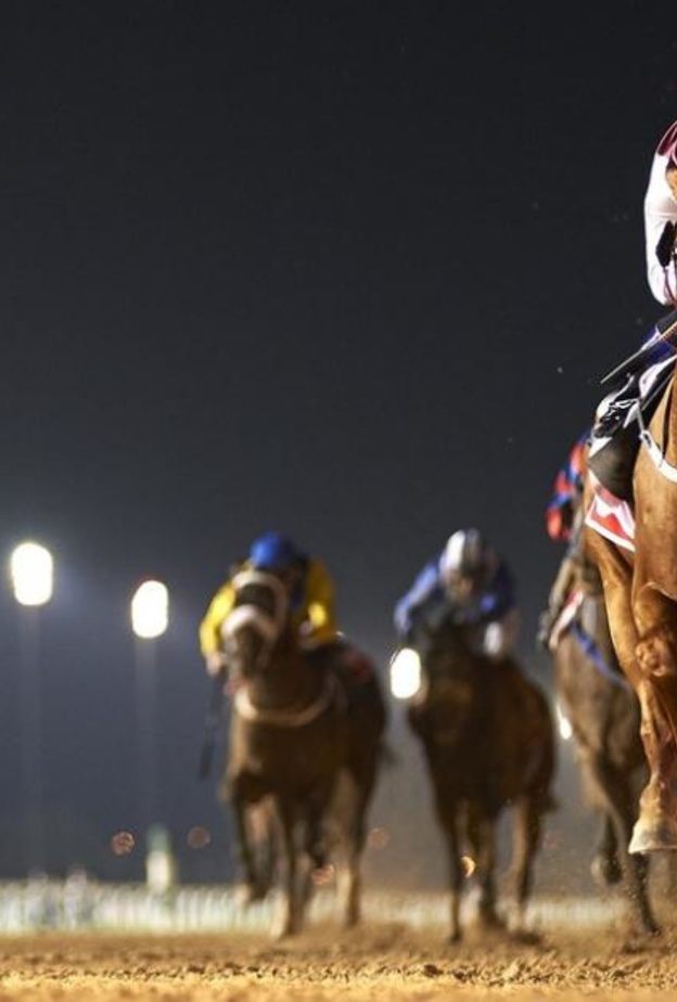 كأس دبي العالمي 2016 ..اغلى سباقات الفروسية في العالم