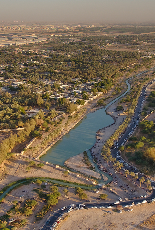 الرياض الخضراء
