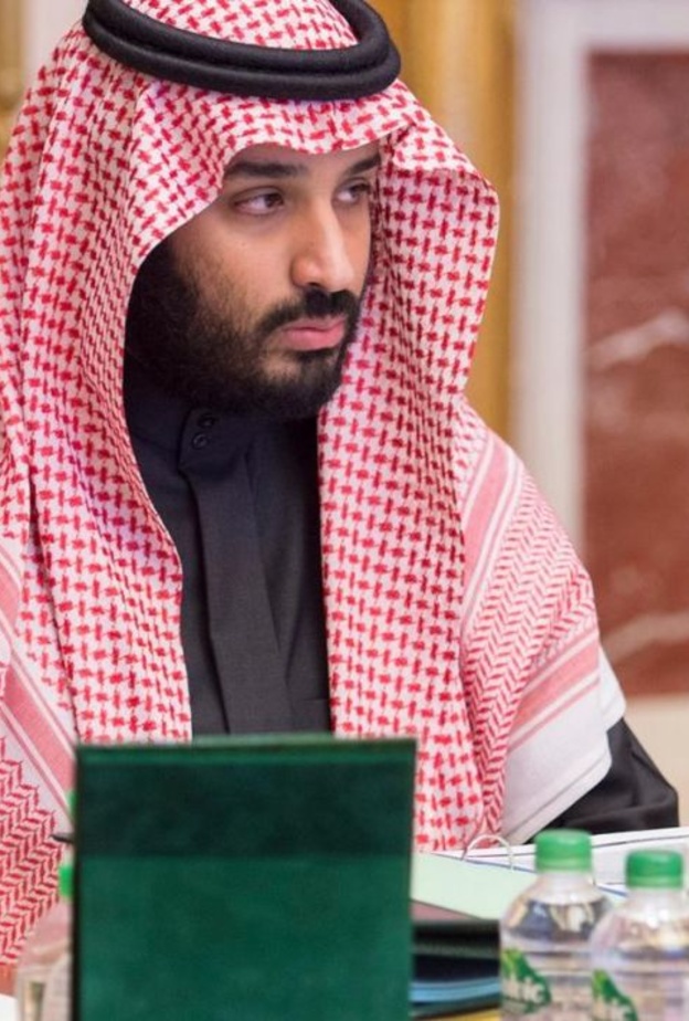 ولي ولي العهد محمد بن سلمان