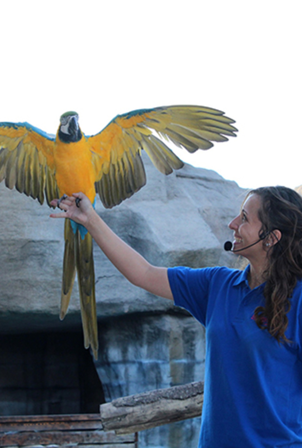 مسرح جديد للعروض التعليمية والتثقيفية في منتجع وحديقة الإمارات للحيوانات