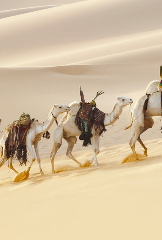 مبادرة " تواصل مع الطبيعة " لاستكشاف البيئات الطبيعية في الإمارات