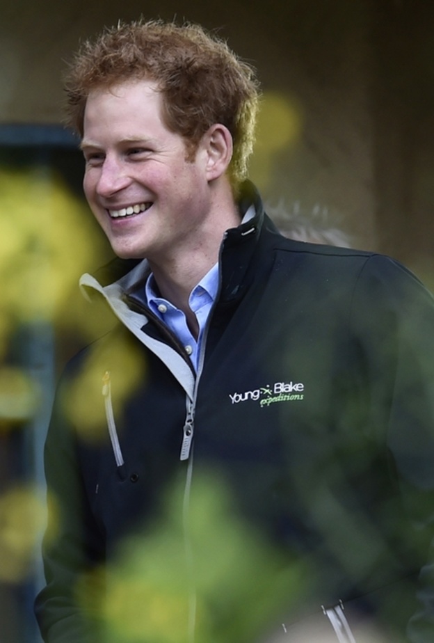 هل قرر الأمير هاري البحث عن زوجة؟