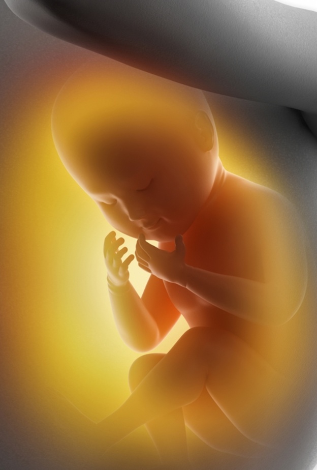 للحامل .. عارض خطير يدل على نقص ماء الجنين ويهدد سلامة الحمل