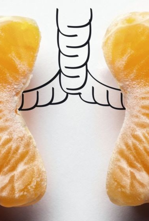 تناول الاغذية المفيدة للمحافظة عليها