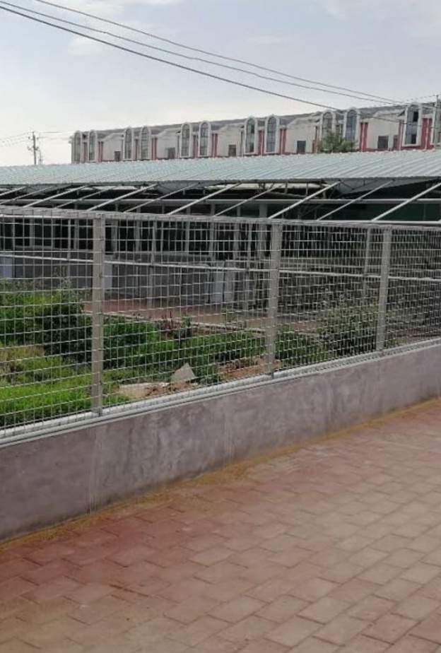 مشروع Elisabetta Franchi لحماية الكلاب