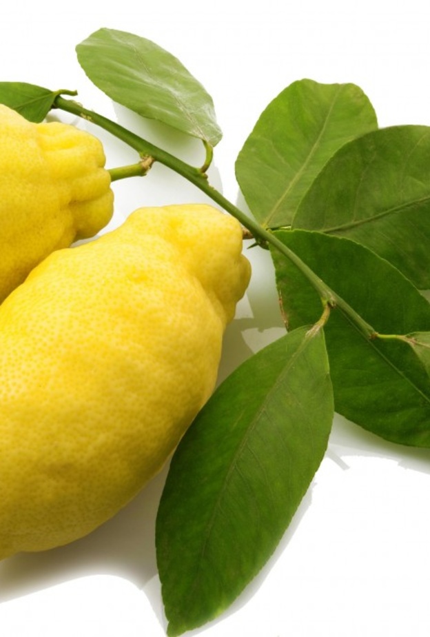 فاكهة المربعانية الأترنجية