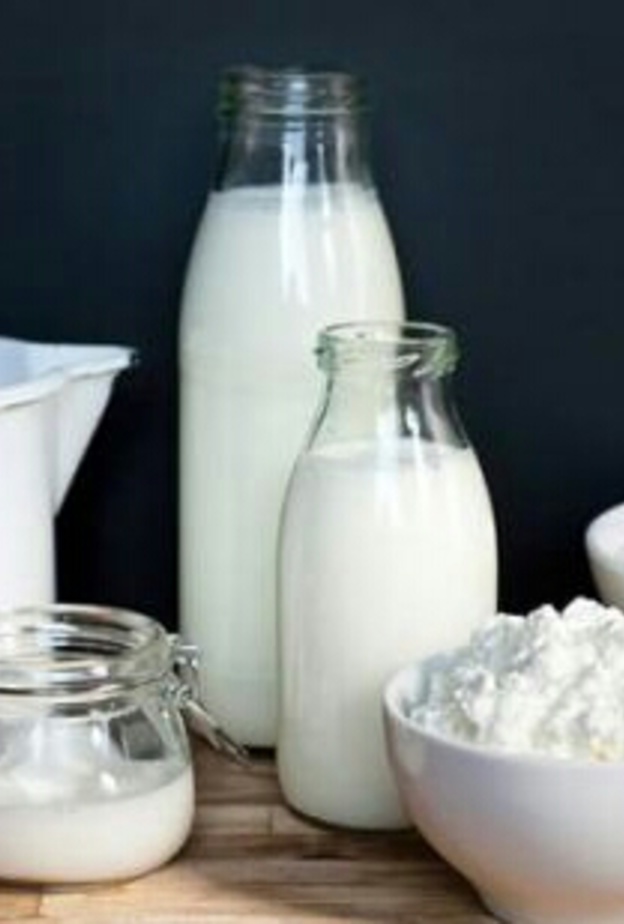 منتجات اللبن والحليب بديل جيد