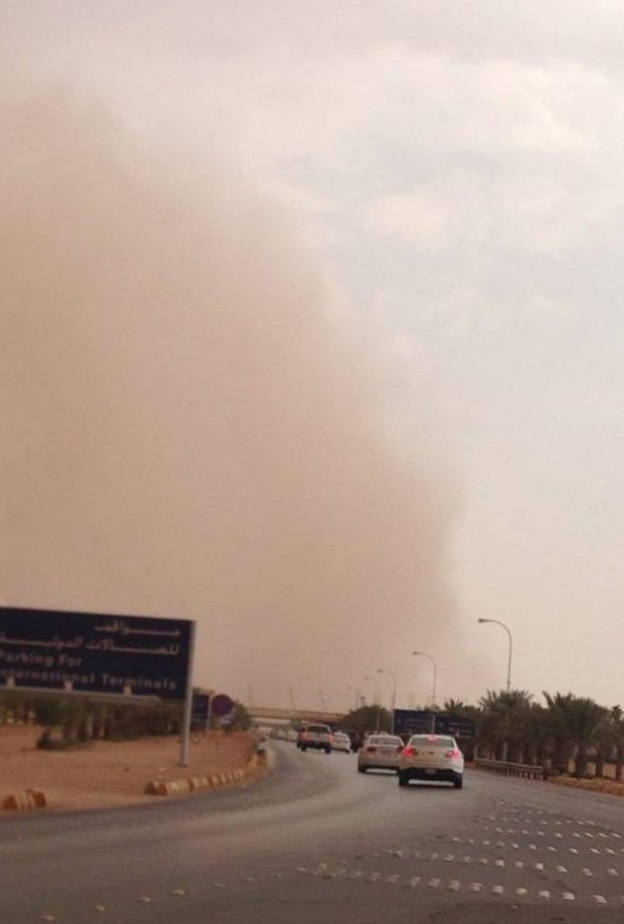 حماية مرضى الربو والحساسية داخل البيوت من الغبار مهم جداً للحفاظ على صحتهم 