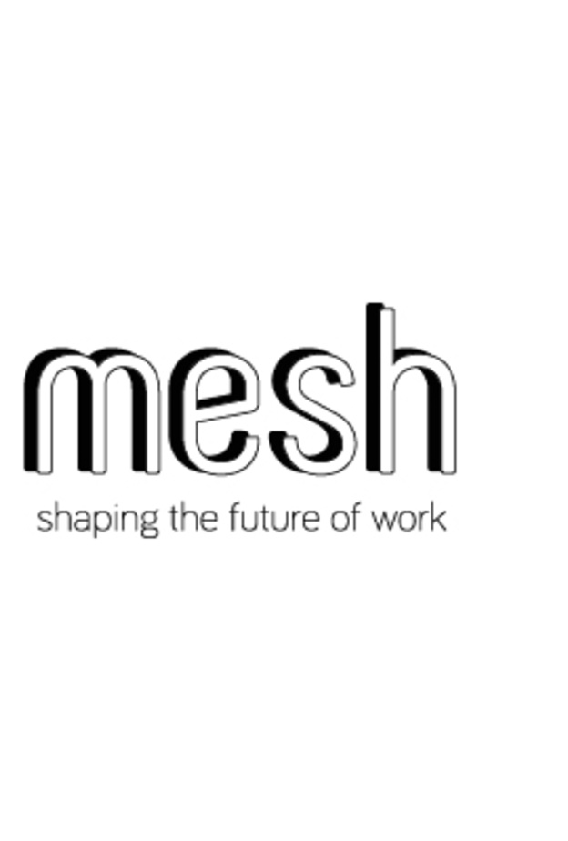 مش mesh .. منصة من دبي لربط الشركات مع المواهب المتميزة لخلق فرص عمل مبتكرة 