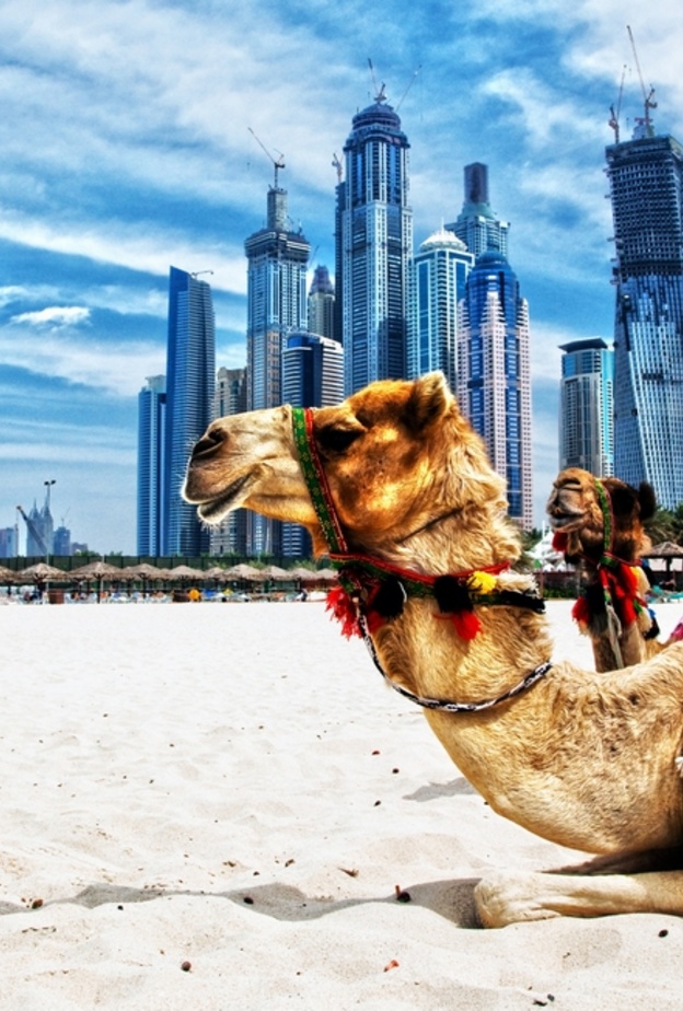 دبي تتميز بتراثها الثقافي الذي يحمل مزيج مبهرا بين ثقافتي الشرق والغرب