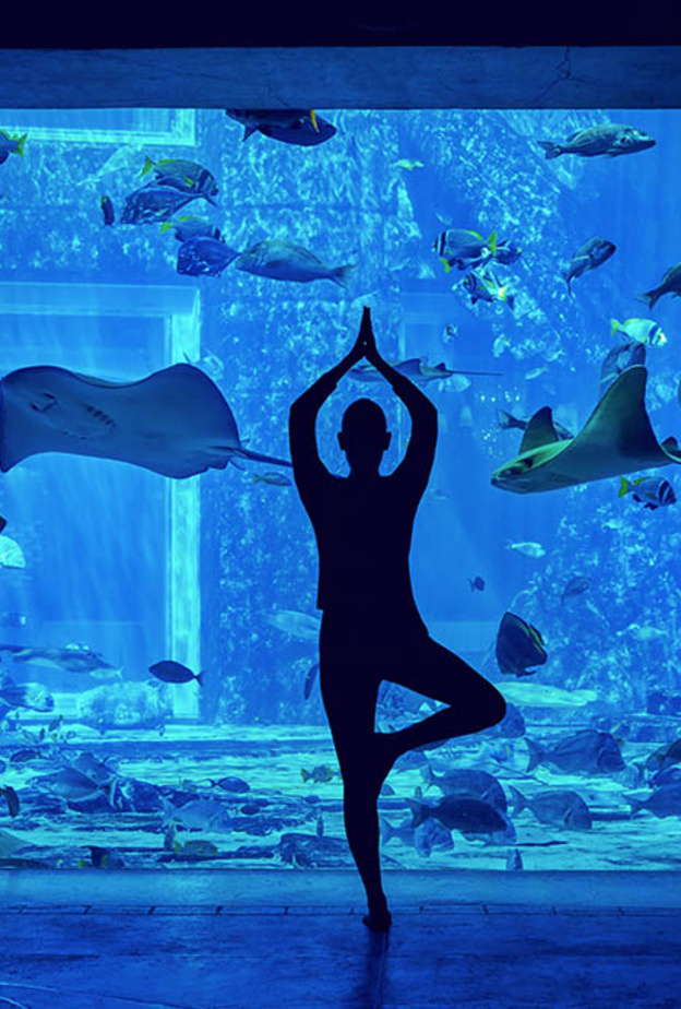 وجهات بارزة تستضيف مبادرة " تحدي دبي للياقة" بفعاليات وعروض مميزة